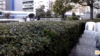 333【最新黑料】惊天网爆快手网红骚鸡赵一菲在酒吧厕所被富二代内射- 九七电影院97理论片久久 -